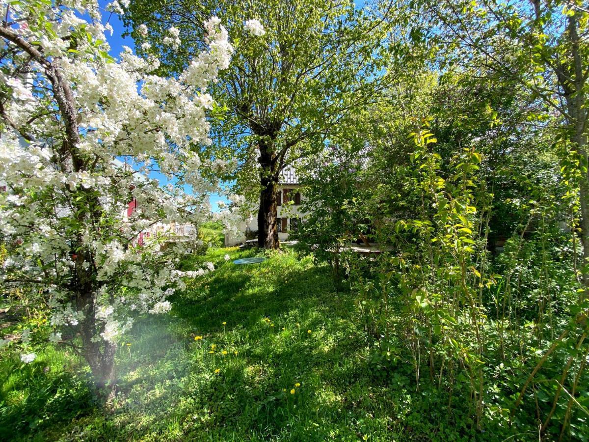 Ferme Des Deux Freres, Autrans, Vercors エクステリア 写真