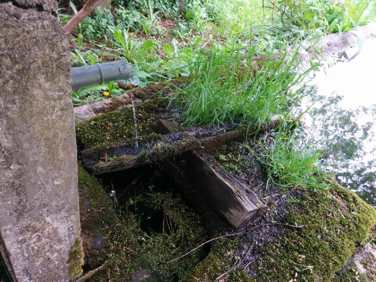 Ferme Des Deux Freres, Autrans, Vercors エクステリア 写真