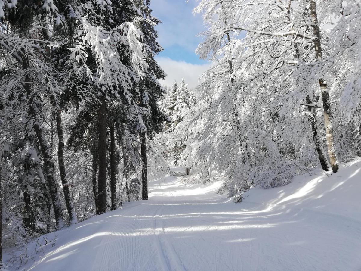 Ferme Des Deux Freres, Autrans, Vercors エクステリア 写真