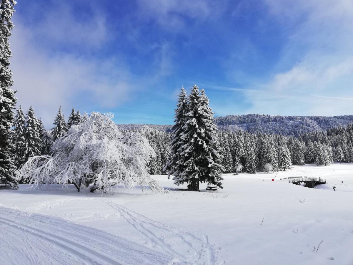 Ferme Des Deux Freres, Autrans, Vercors エクステリア 写真