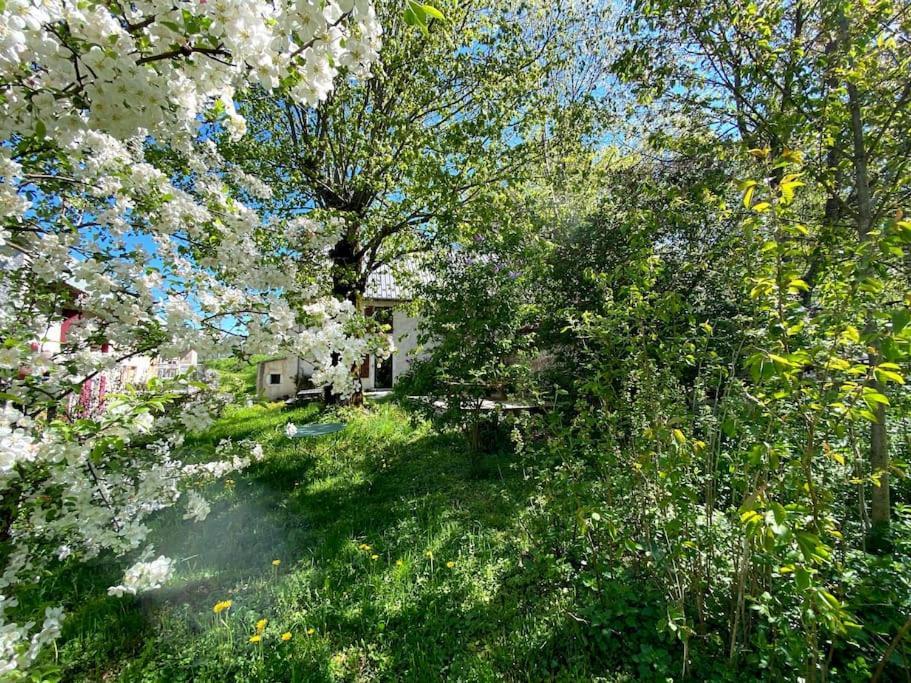 Ferme Des Deux Freres, Autrans, Vercors エクステリア 写真