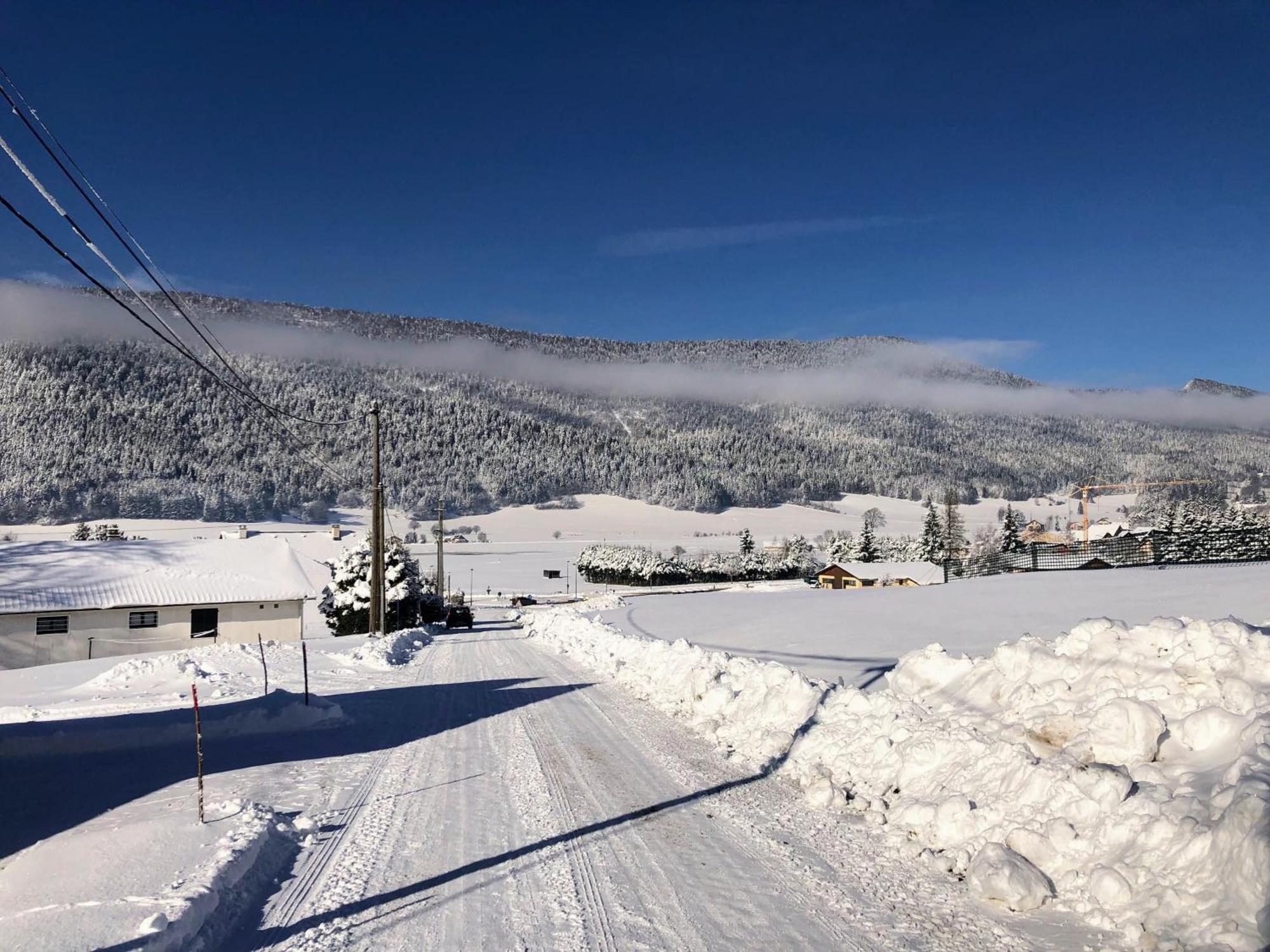 Ferme Des Deux Freres, Autrans, Vercors エクステリア 写真