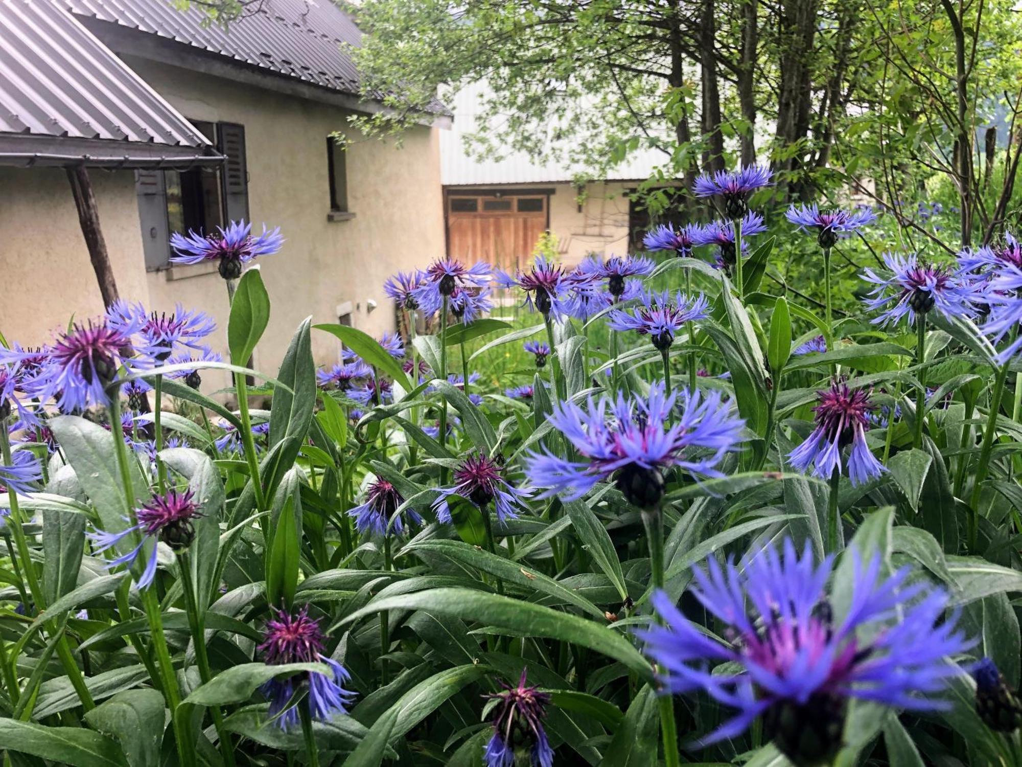 Ferme Des Deux Freres, Autrans, Vercors エクステリア 写真